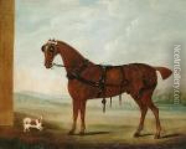 Portrait Of A Carriage Horse With A Spaniel Oil Painting - John Nost Sartorius