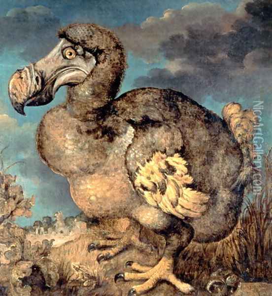 The Dodo, 1651 Oil Painting - Hans I Savery
