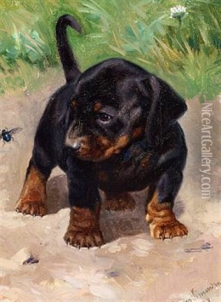 A Curious Dachshund Puppy Oil Painting - Simon Simonsen