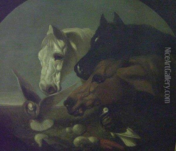 Horses' Heads, Pigeons And Oil Painting - John Frederick Herring Snr