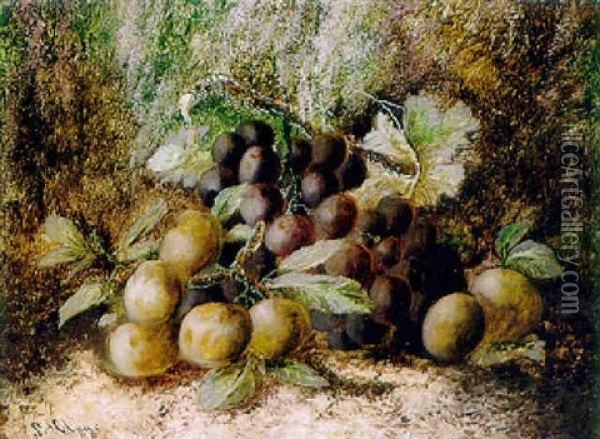 Fruchtestilleben Auf Waldboden Oil Painting - George Clare