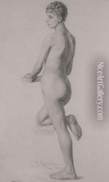 Desnudo Femenino Oil Painting - Francisco Masriera y Manovens