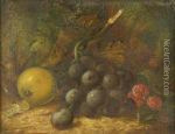 Apple, Blackgrapes And Raspberries On A Woodland Bank Oil Painting - Vincent Clare