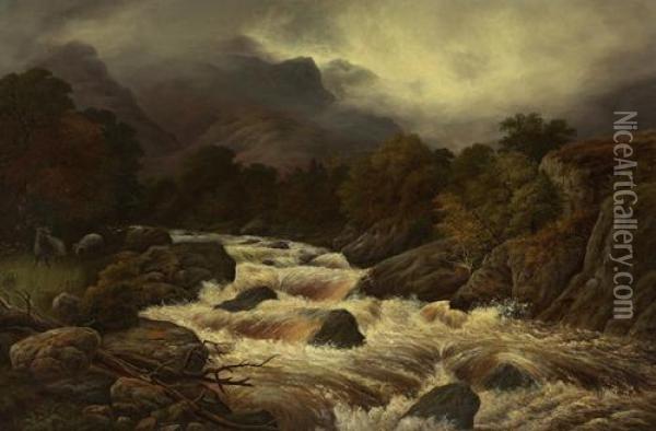 Spate On A Highland River Oil Painting - C S Lawson
