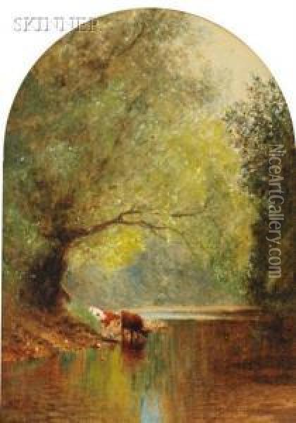 Cows Drinking At Stream Under Spreading Trees Oil Painting - Albert (Fitch) Bellows