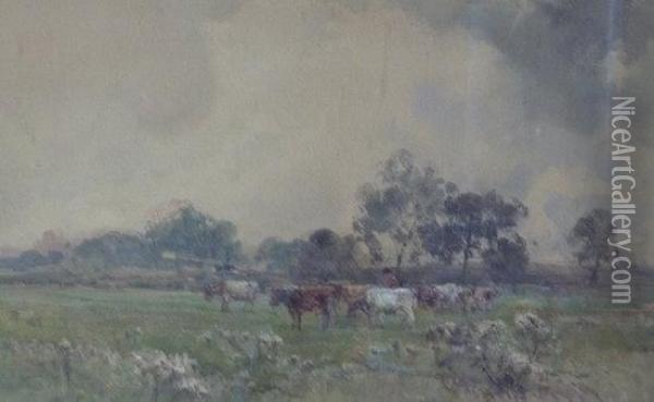 Cattle In A Meadow Oil Painting - Claude Hayes
