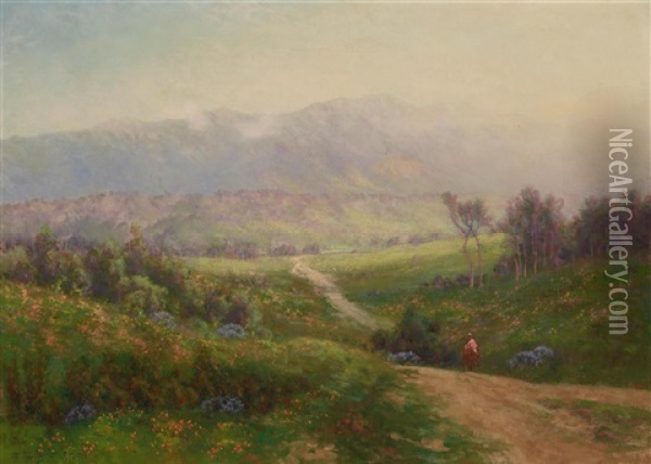 Spring Morning In The Santa Ynez Mountains, Santa Barbara County, California Oil Painting - Charles Dorman Robinson