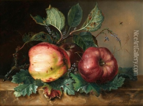 Les Deux Pommes Oil Painting - J. van Marcke