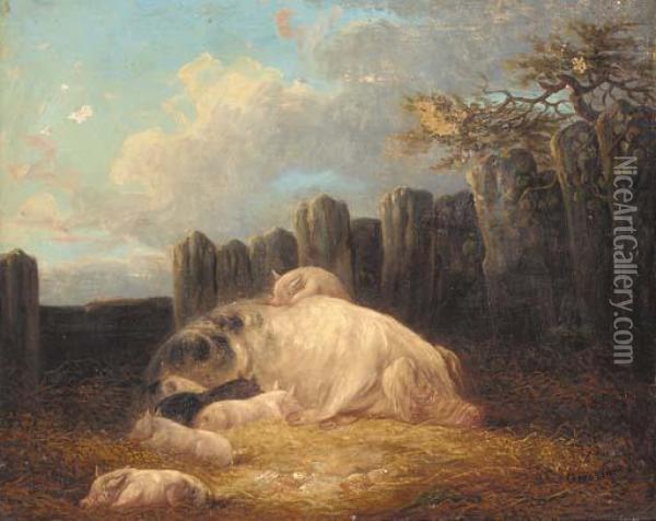 Pigs In A Sty Oil Painting - George Morland