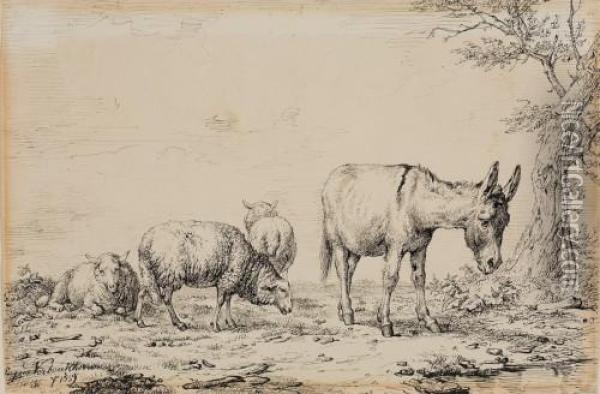Weidende Schafe Und Esel Am Wasser Oil Painting - Eugene Joseph Verboeckhoven