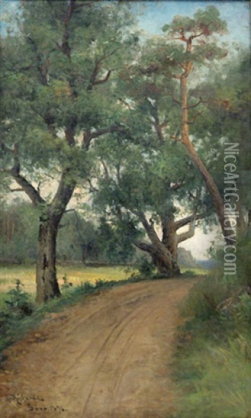 Road To Savo Oil Painting - Ludvig Otto Richarde