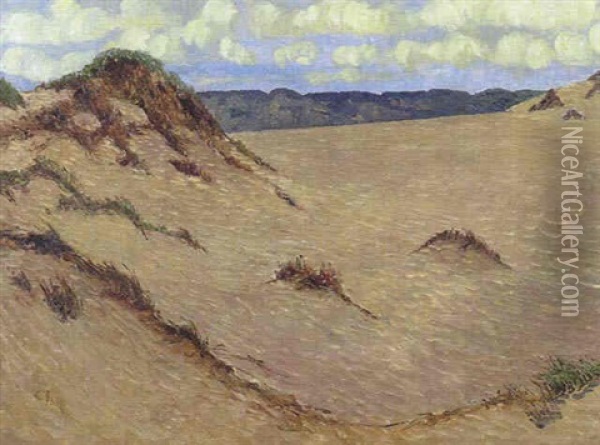 Dune Auf Sylt Oil Painting - Carl Arp