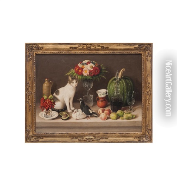 Still Life With Cat And Birds Oil Painting - Jose Agustin Arrieta