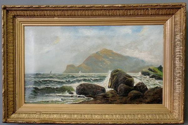 Seascape With Mountain Oil Painting - Charles P. Appel