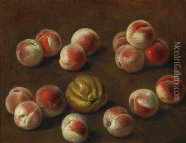 A Still Life Of Peaches Oil Painting - Alexandre Francois Desportes