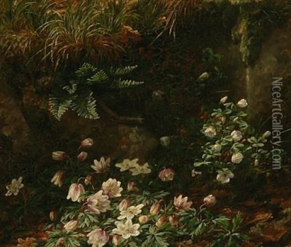 Forest Floor With Anemones Oil Painting - Anthonie Eleonore (Anthonore) Christensen