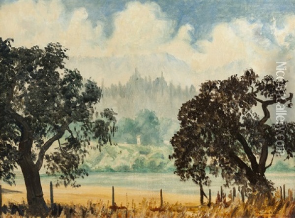 Trees Along A Pond Oil Painting - William Posey Silva