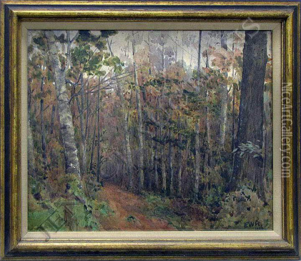Forest Glen Oil Painting - Ernest William Haslehurst