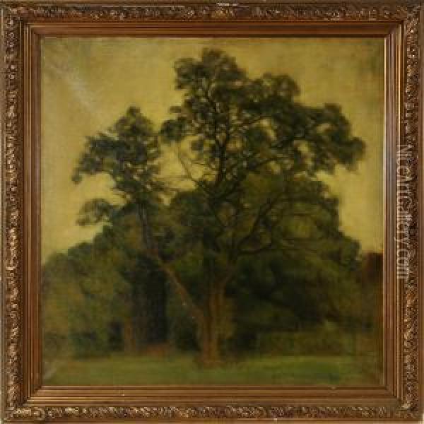 Landscape Withtrees Oil Painting - Svend Hammershoi