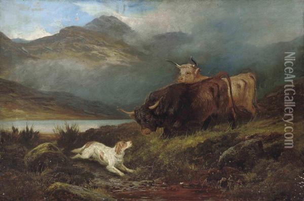 Highland Cattle And A Spaniel Beside A Loch Oil Painting - Colin Graeme Roe