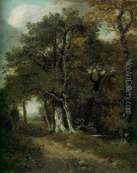 A Woodland Scene Oil Painting - John Constable