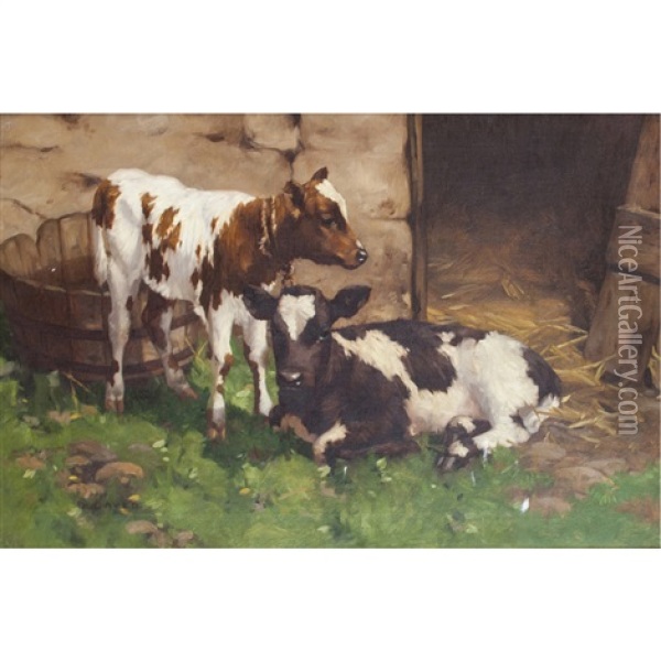 Calves Outside A Byre Oil Painting - David Gauld