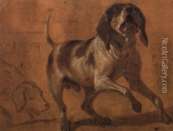 Study Of A Hound Baying Oil Painting - Jean-Baptiste Oudry