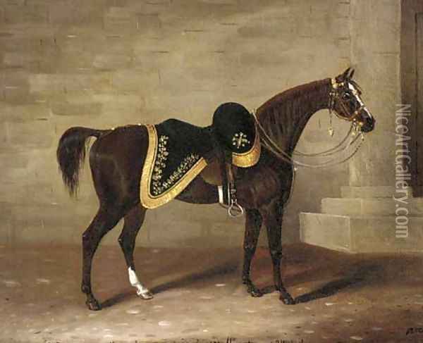 Copenhagen, the charger of the Duke of Wellington Oil Painting - Samuel Spode