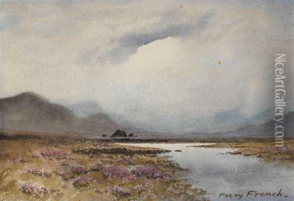 Bog Landscape, West Of Ireland Oil Painting - William Percy French