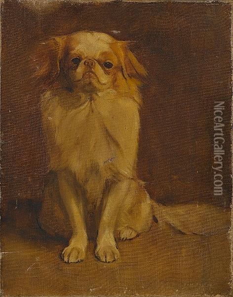 Portrait Of A Japanese Chin Oil Painting - Samuel Fulton