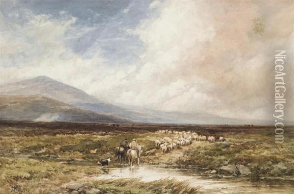 Driving Home The Flock, Dartmoor Oil Painting - Edmund Morison Wimperis