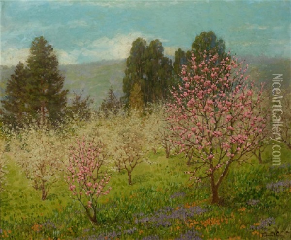 Blossom Time In Saratoga, California Oil Painting - Theodore Wores