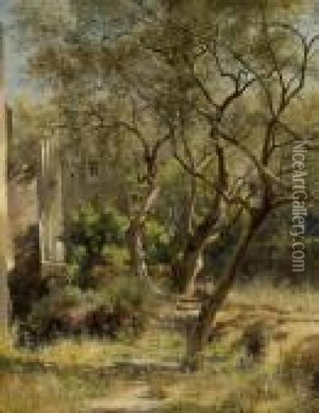 Olive Trees Oil Painting - Arthur Jean Bapt. Calame