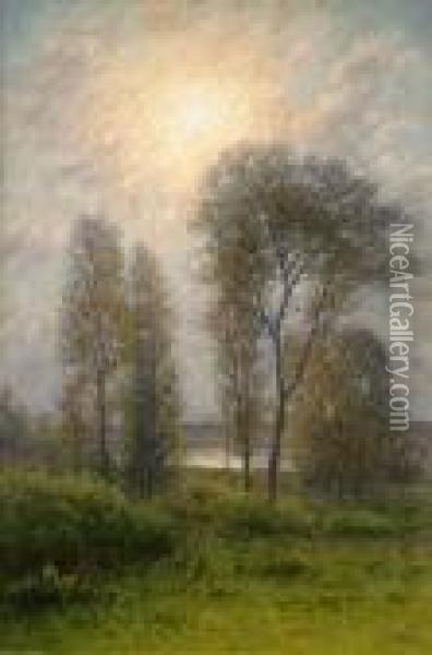 Olandskt Landskap I Soldis Oil Painting - Per Ekstrom