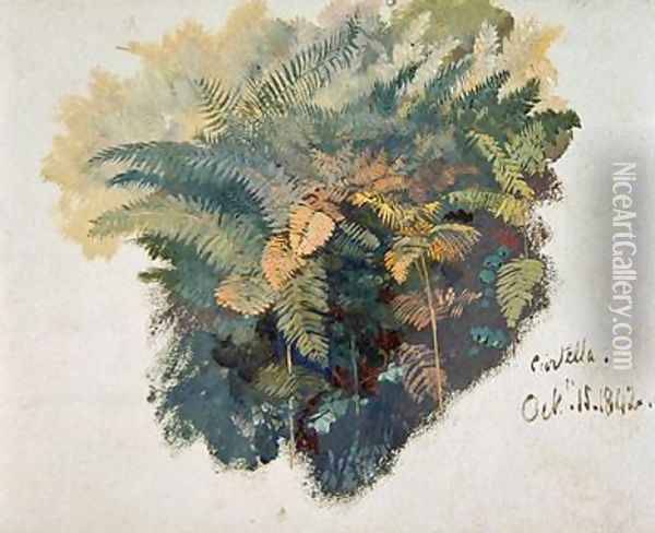 A Study of Ferns Citivella Oil Painting - Edward Lear
