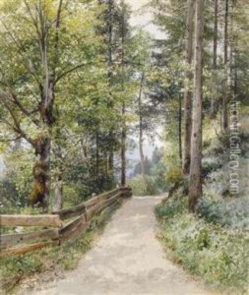 Waldweg Beigoisern Oil Painting - Ladislaus Eugen Petrovits