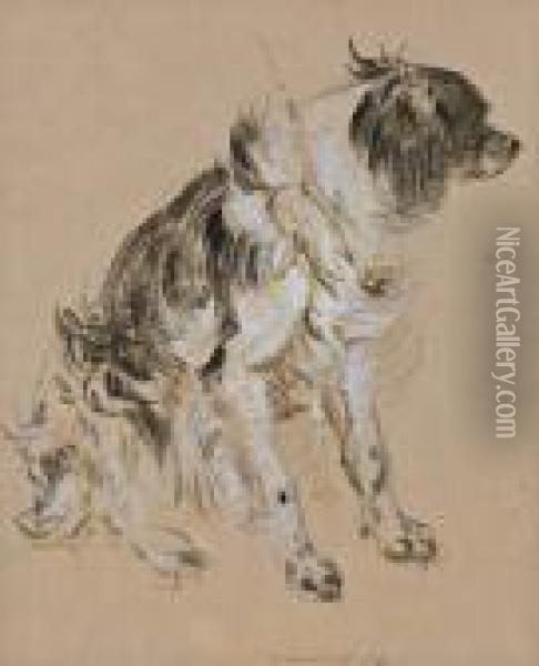 Hundeportrait Oil Painting - Carl Pischinger