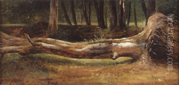 Etude D'arbre Abattu Oil Painting - Theodore Fourmois