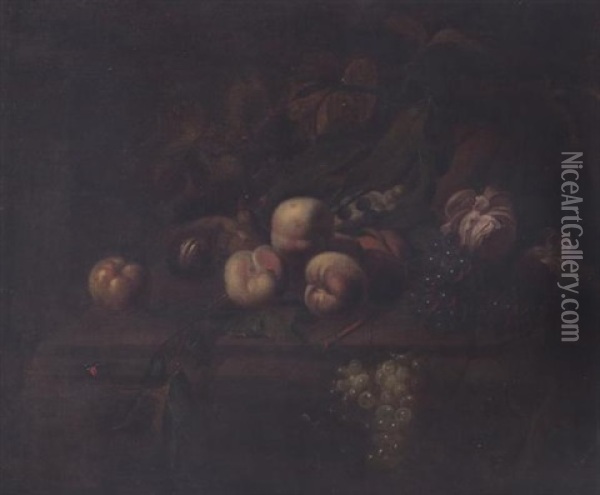 Peaches, Figs, Grapes, Vine Leaves And Roses On A Ledge Oil Painting - Herman van der Myn