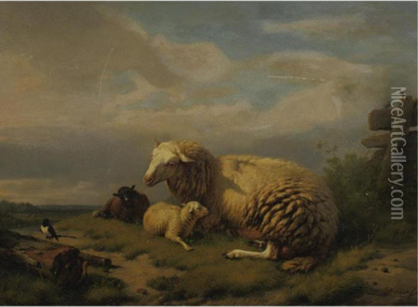 Sheep Resting Oil Painting - Eugene Joseph Verboeckhoven