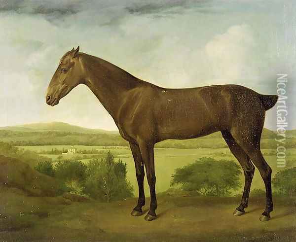 Brown Horse in a Hilly Landscape, c.1780-1800 Oil Painting - George Stubbs
