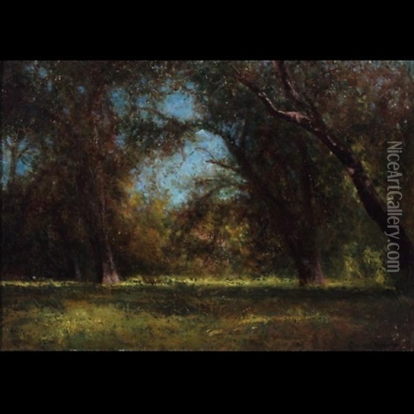 An Oak Opening Sonoma Oil Painting - Charles Dorman Robinson