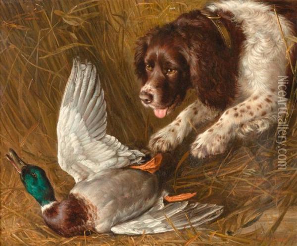 Hunting Dog Ambushing A Duck Oil Painting - Frank Paton