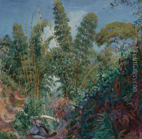View of Central America Oil Painting - Max Vollmberg
