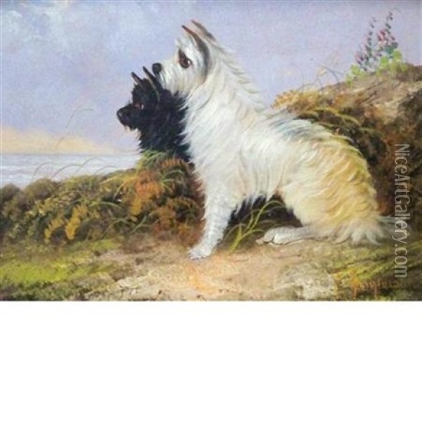 Scottish Terrier And West Highland White Terrier Oil Painting - J. Langlois