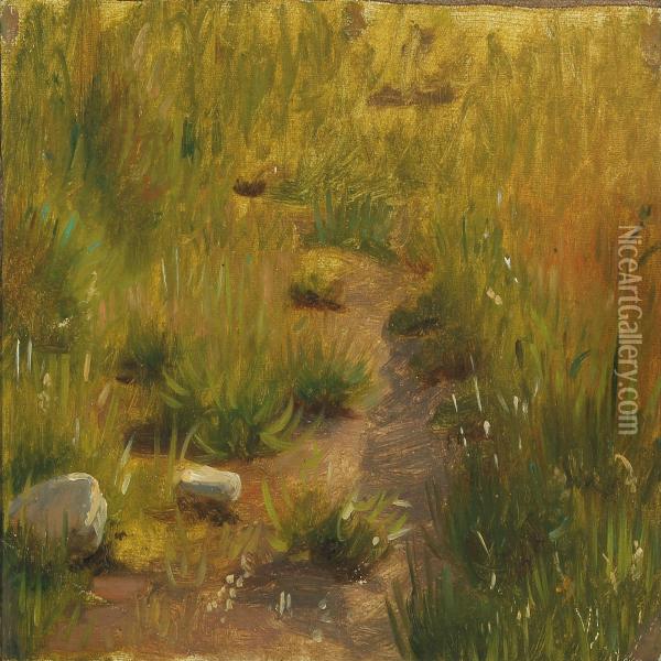 Study Of Meadow Oil Painting - Viggo Johansen