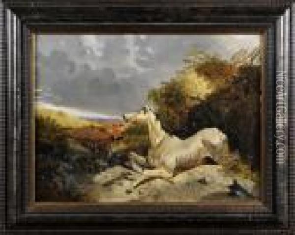 Le Cheval Egare Oil Painting - John Frederick Herring Snr