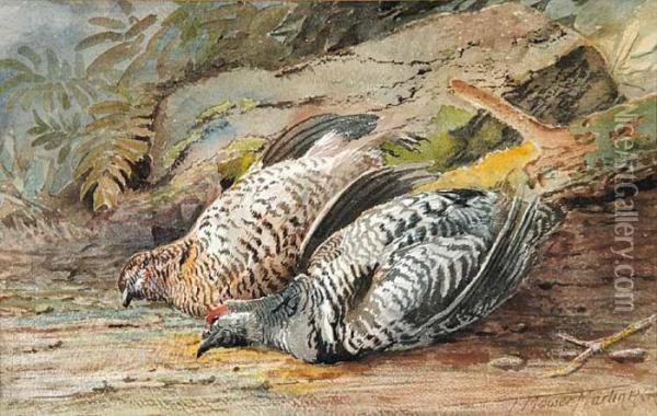 A Brace Of Partridge Oil Painting - Thomas Mower Martin