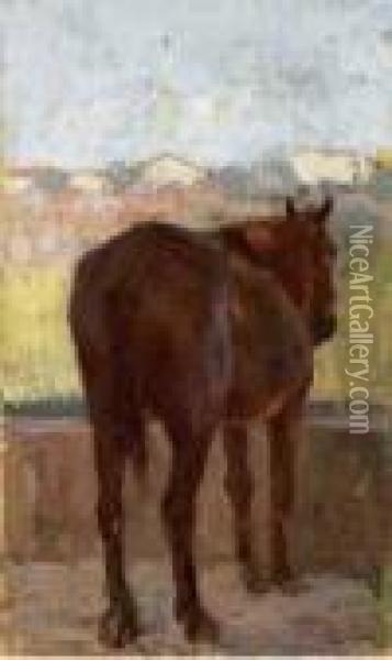 Cavallo Oil Painting - Luigi Gioli