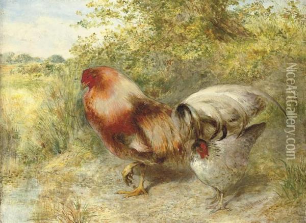 Poultry In A Landscape Oil Painting - William Huggins